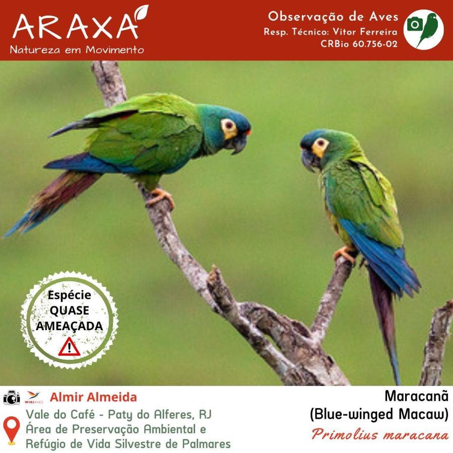 Sitio Araxa - 82 Anos De Historia - Suite Confortavel Em Meio A Floresta Paty do Alferes Buitenkant foto