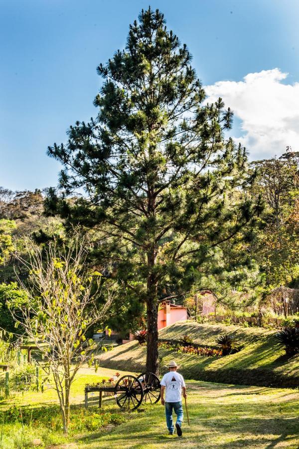 Sitio Araxa - 82 Anos De Historia - Suite Confortavel Em Meio A Floresta Paty do Alferes Buitenkant foto