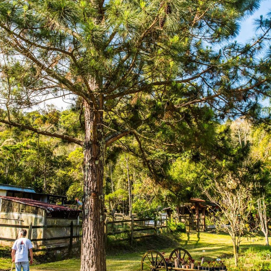 Sitio Araxa - 82 Anos De Historia - Suite Confortavel Em Meio A Floresta Paty do Alferes Buitenkant foto