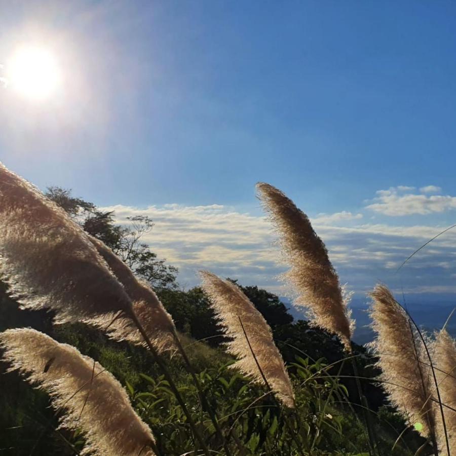Sitio Araxa - 82 Anos De Historia - Suite Confortavel Em Meio A Floresta Paty do Alferes Buitenkant foto