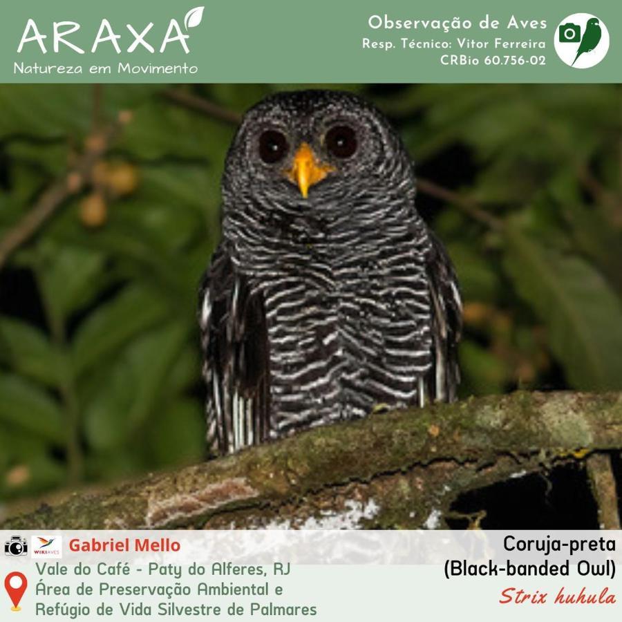 Sitio Araxa - 82 Anos De Historia - Suite Confortavel Em Meio A Floresta Paty do Alferes Buitenkant foto