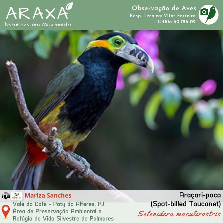 Sitio Araxa - 82 Anos De Historia - Suite Confortavel Em Meio A Floresta Paty do Alferes Buitenkant foto